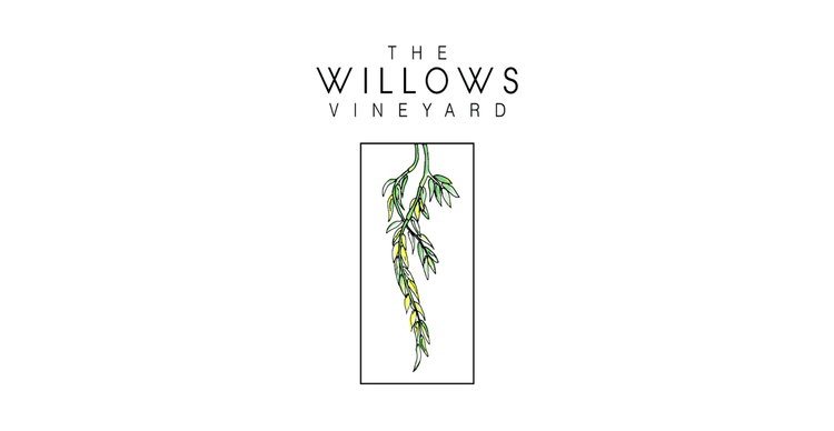 The Willows Vineyard